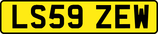 LS59ZEW