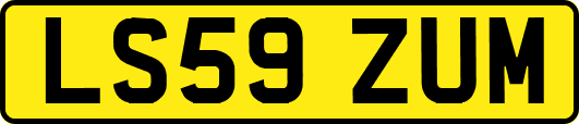 LS59ZUM