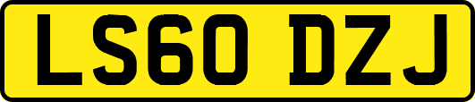 LS60DZJ
