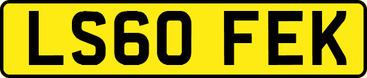 LS60FEK