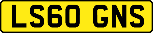 LS60GNS