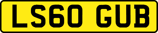 LS60GUB