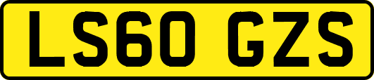 LS60GZS
