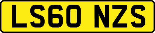 LS60NZS
