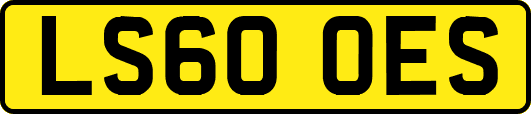 LS60OES