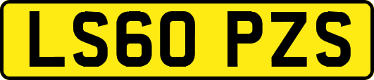 LS60PZS