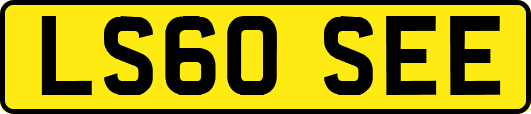 LS60SEE