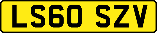 LS60SZV
