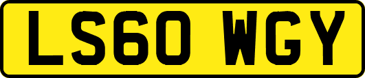 LS60WGY