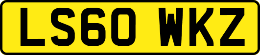 LS60WKZ