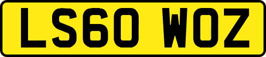 LS60WOZ