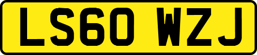 LS60WZJ