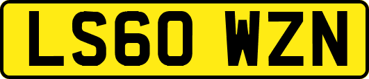 LS60WZN