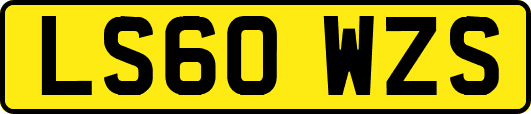 LS60WZS