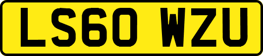 LS60WZU