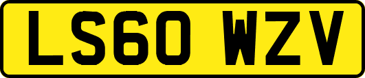 LS60WZV