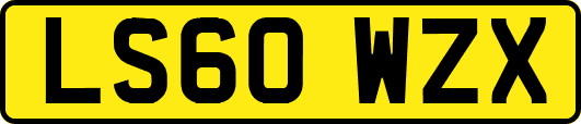 LS60WZX