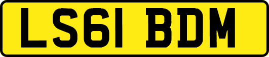 LS61BDM