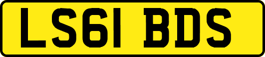 LS61BDS