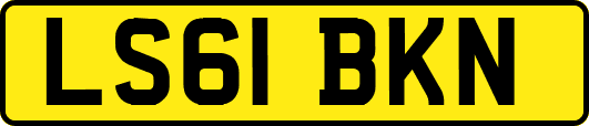 LS61BKN