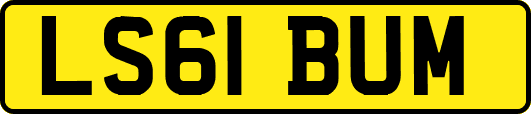 LS61BUM