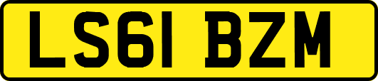 LS61BZM