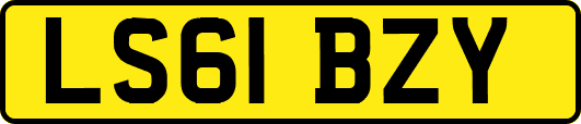 LS61BZY