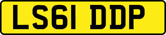 LS61DDP