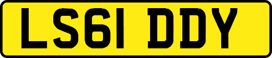 LS61DDY