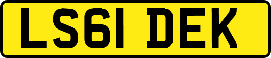 LS61DEK