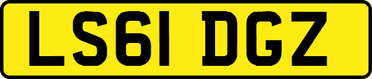 LS61DGZ