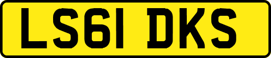 LS61DKS