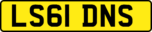 LS61DNS