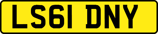 LS61DNY