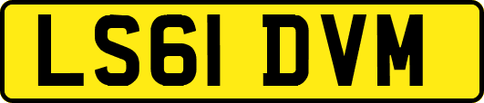 LS61DVM