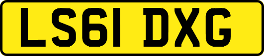 LS61DXG