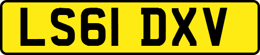 LS61DXV