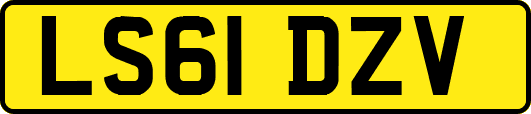 LS61DZV