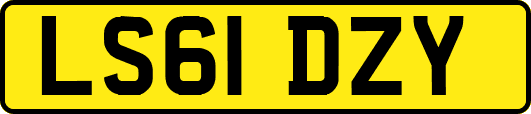 LS61DZY