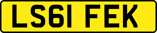LS61FEK