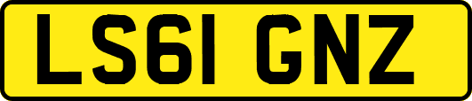 LS61GNZ