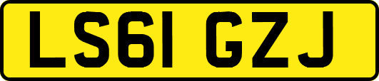 LS61GZJ