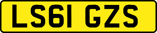 LS61GZS