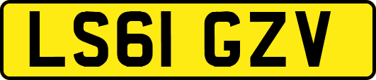 LS61GZV