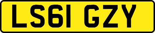 LS61GZY