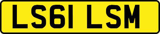 LS61LSM