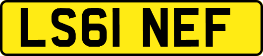 LS61NEF