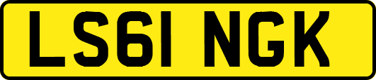 LS61NGK