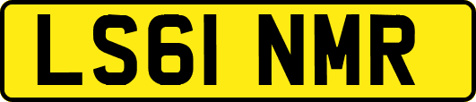 LS61NMR