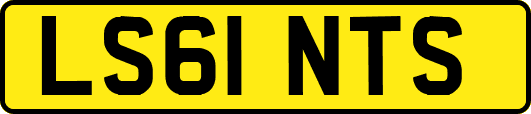 LS61NTS